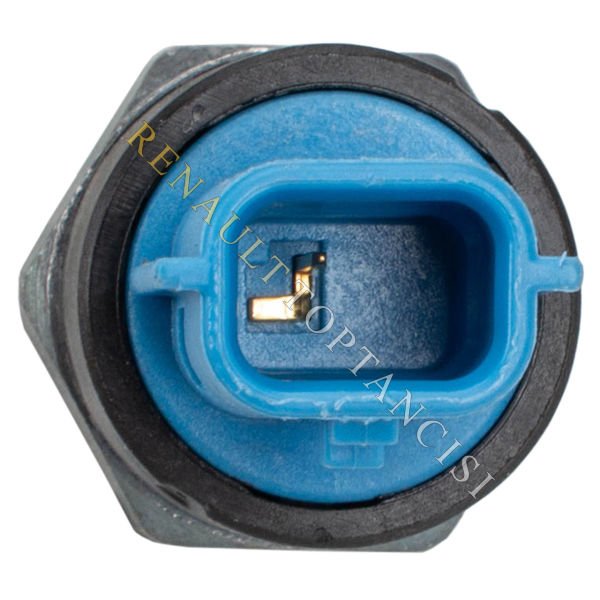 Yağ Müşürü Megane 4 Express 1.5 Blue dCi Euro 6 252402757R